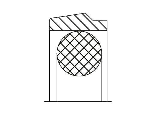 UPS 12