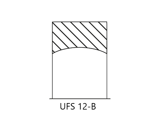 UFS 12