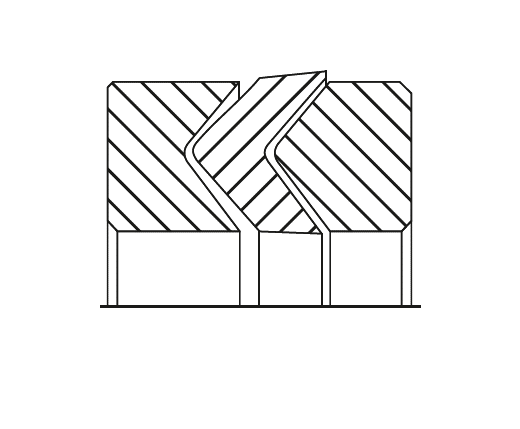 UPS 21